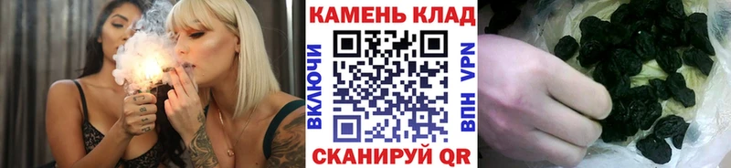 ГАШ Premium  Власиха 
