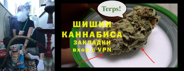 ПСИЛОЦИБИНОВЫЕ ГРИБЫ Покровск