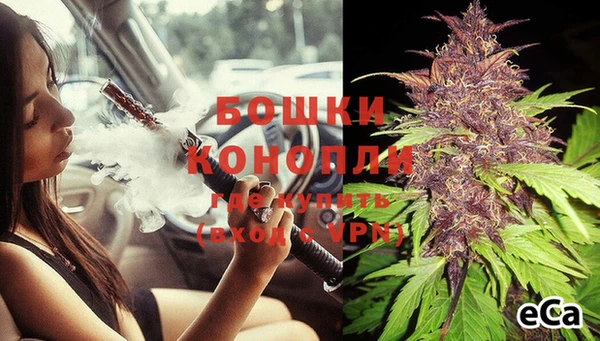 spice Пестово